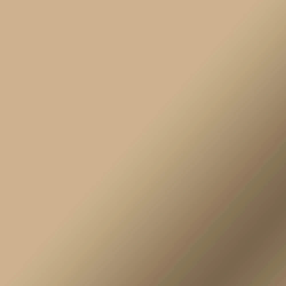 Smart Vinyl™ Matte Metallic – Permanent (0.9 m / 3ft), Champagne