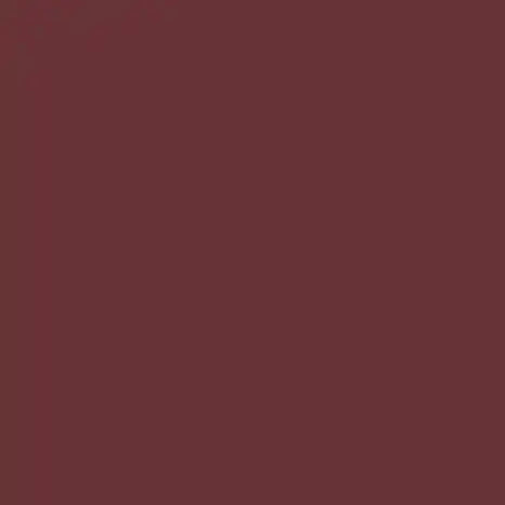 Cricut Premium Vinyl Removable Essentials Sampler 12X12 (12)